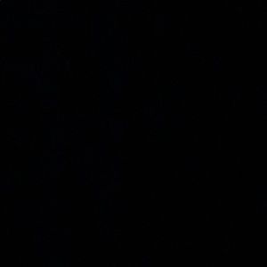 Meet your Posher, Cole